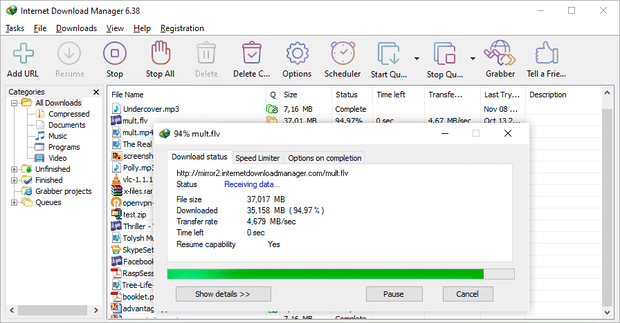 Internet Download Manager-1