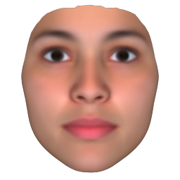 FaceGen Artist